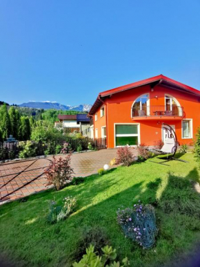 Vila Bijou Borşa